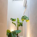 Villa Vouros Villages - Masouri